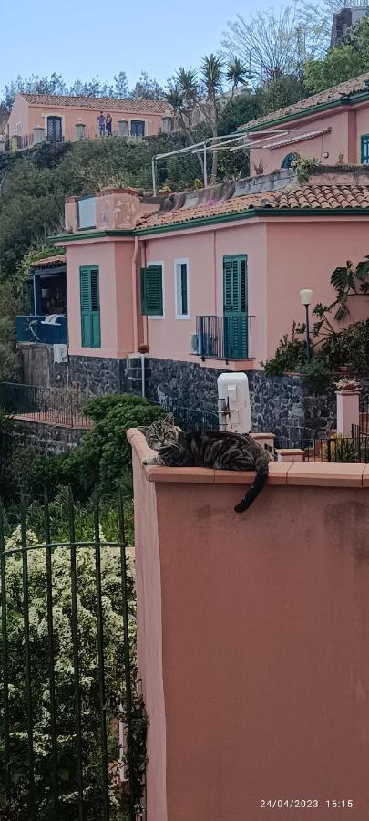 La Timpa Villa Acireale Exteriör bild